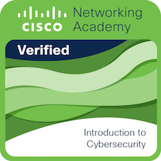 Introduction to Networks Badge